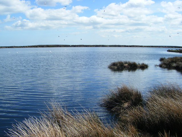 Moorland reservoir