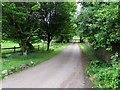 Lane to Tanhouse Farm, Newland