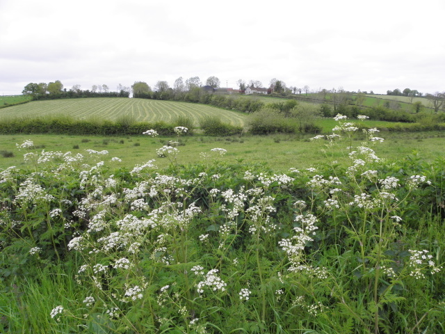Derrygooly Townland