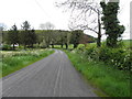 H7247 : Dromore Road, Curlagh by Kenneth  Allen