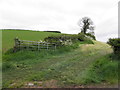 Open fields, Dromore