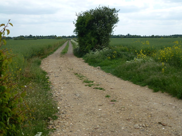 Track to farmland north of Woodhurst