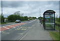 TA1177 : Bus stop and shelter on Moor Road (A165) by JThomas