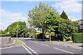 View along West Heath Road