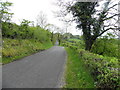 Road at Killyculla / Glen