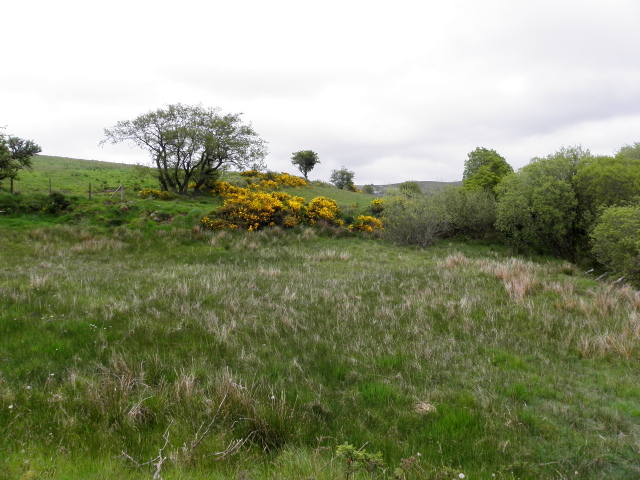 Glen Townland © Kenneth Allen :: Geograph Ireland