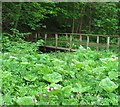 Footbridge over Hartforth Beck