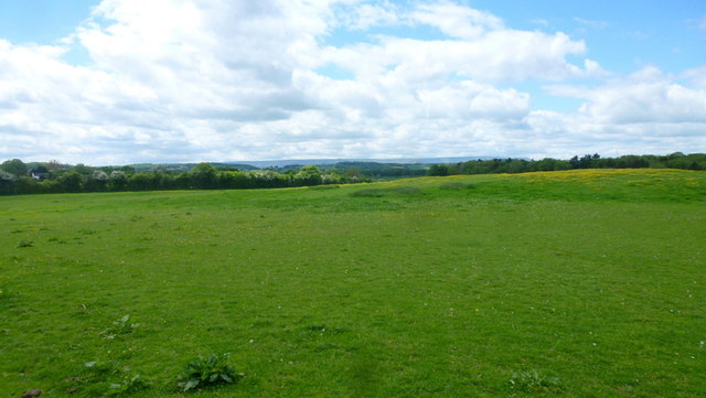 Pasture land west of Cobhall Common © Jonathan Billinger cc-by-sa/2.0 ...