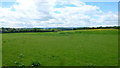 Pasture land west of Cobhall Common