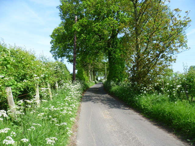 Lane near Sheriff's Wood