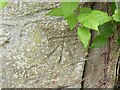 Benchmark on Pound Cottage, Pound