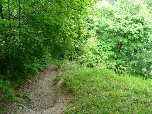 Path in Jagger Park Wood, North Bierley