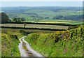 Lane near Pensilva, Cornwall