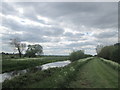 SK7396 : River Idle south of Haxey Grange by John Slater
