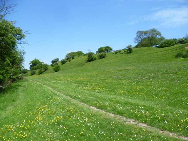 The Elham Valley Way on Hall Downs