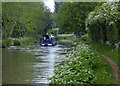 Oxford Canal heading towards Banbury