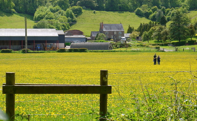 Two walkers on the Newcourt Farm path, 3