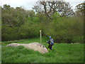 Glacial erratic above Greengill Sike