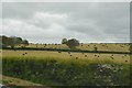 Farmland Between Letterston And Scleddau