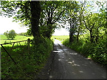 H5672 : Shinnagh Road, Mullaghslin Glebe by Kenneth  Allen