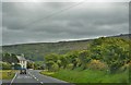 Road Leading To Bwlchmawr