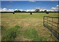 Bales near Home Farm