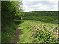 Footpath near Parc Penallta