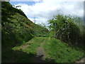 NZ3345 : Field entrance (footpath) off Moorsley Road by JThomas