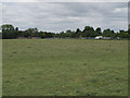 SU9972 : Newly mown meadow, Runnymede by Stephen Craven