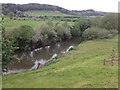 River Teme at Shelsley Beauchamp