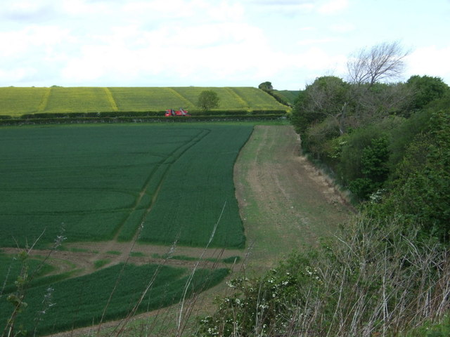 Farmland near Seaton