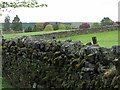 Walls south of Alston Cemetery