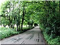 Frog Lane, near Bishopsbourne