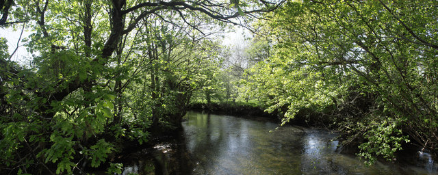 Spring Panorama of the River Mole