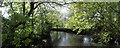 Spring Panorama of the River Mole