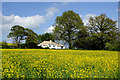 A Colourful Country Cottage