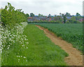 Farmland near Little Bourton