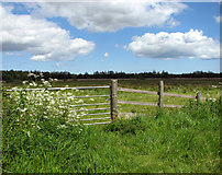 TG3614 : Gate into a marsh pasture by Leist's Farm by Evelyn Simak