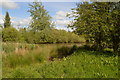 Fishing Lakes at Green Lane Farm