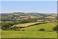 Fields near Castledore