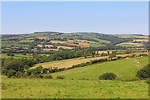 SX0954 : Fields near Castledore by Wayland Smith