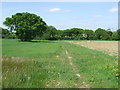 Green Footpath