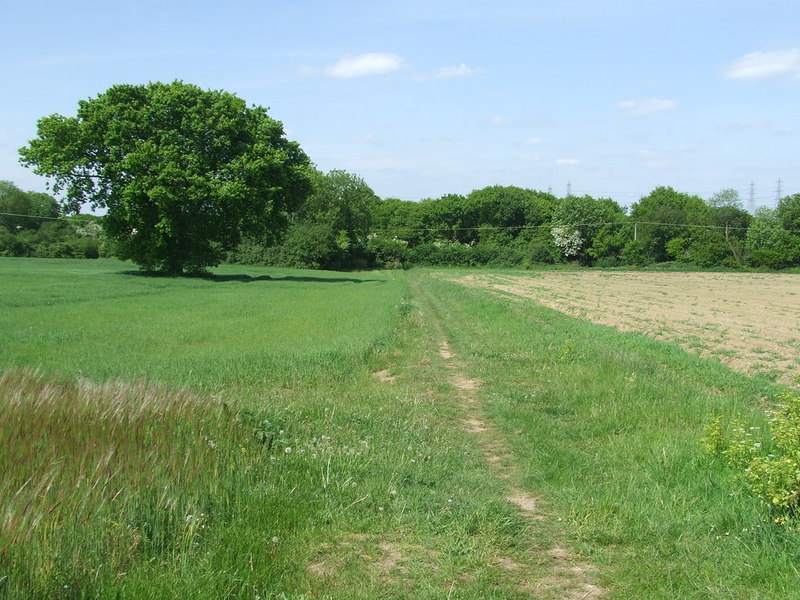 Green Footpath © Keith Evans cc-by-sa/2.0 :: Geograph Britain and Ireland