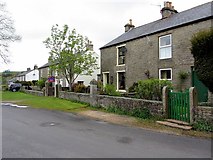 NY7441 : Cottages, Garrigill by Andrew Curtis