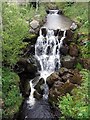 Garrigill Burn near Beldy