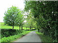 Road near Heaton