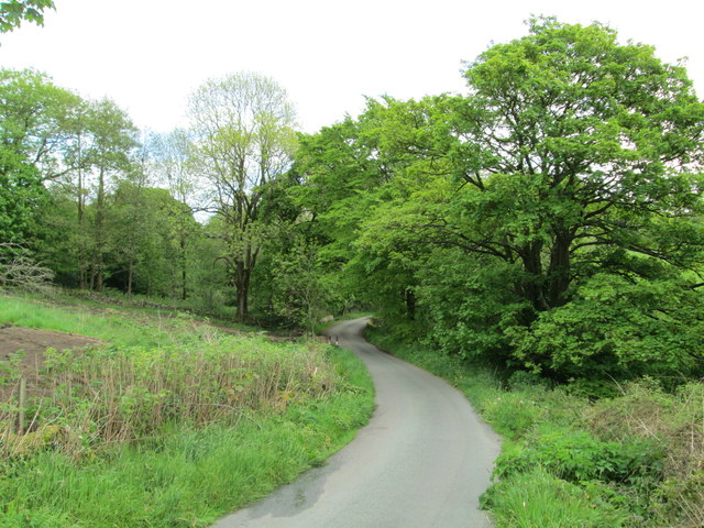 Road near Heaton