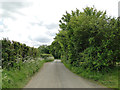 Tye Lane, a narrow road with passing places