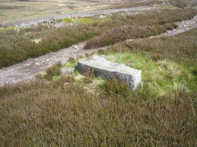 Fallen boundary stone