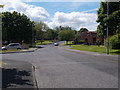 Oakwood Drive - viewed from Hague Terrace